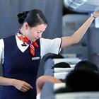 航空服務（票務、安檢方向）、航空乘務定向委培